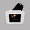 antiglare recessed downlight